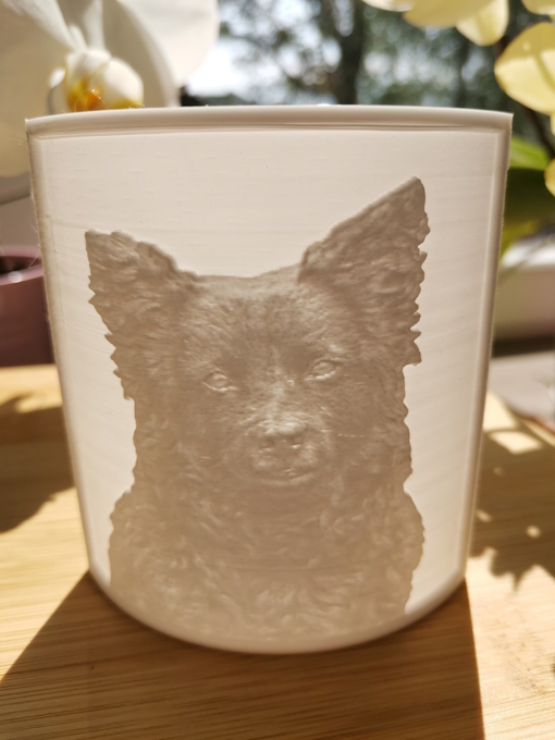 3D fotografija