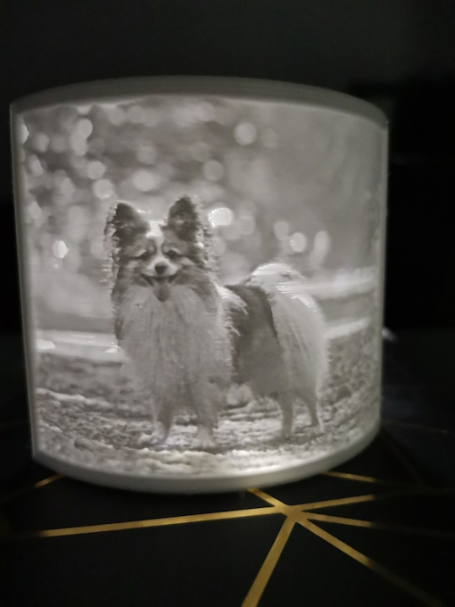 3D fotografija